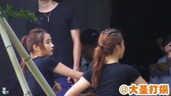 鹿晗吃瓜当看客,揭秘娱乐圈幕后风云